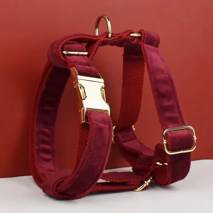 Ensemble collier et laisse pour chien en velours rouge, pour grands chiens, plaque nominative gravée