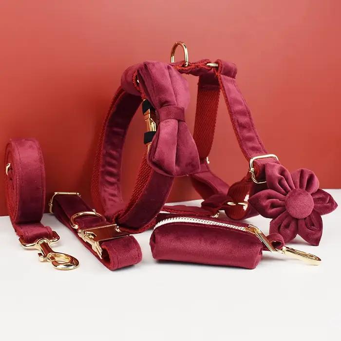 Ensemble collier et laisse pour chien en velours rouge, pour grands chiens, plaque nominative gravée