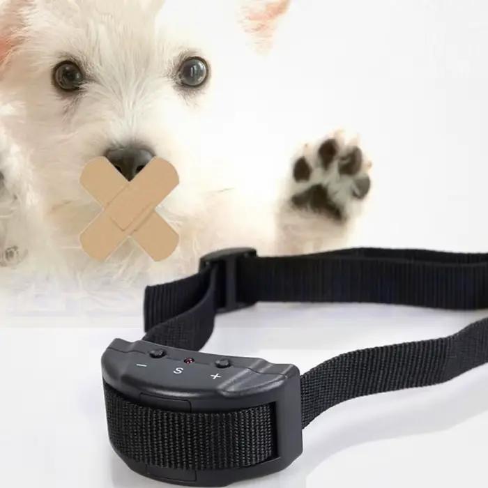 Collier électrique anti-aboiement pour petit animal de compagnie, tonalité sans aboiement, entraînem