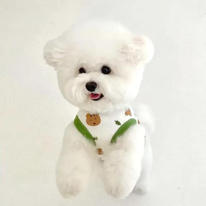Vêtements pour animaux de compagnie chiot gilet d'été mince poméranien pull ours imprimé T-shirt Ted