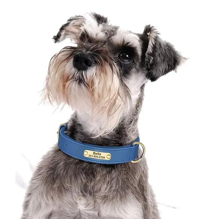 Collier de chien en cuir PU personnalisé colliers de chien rembourrés doux collier d'identification