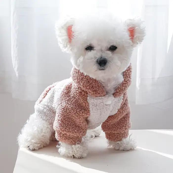 Mode chat chien à capuche avec boucle hiver pull pour animaux de compagnie pour petits chiens Chihua