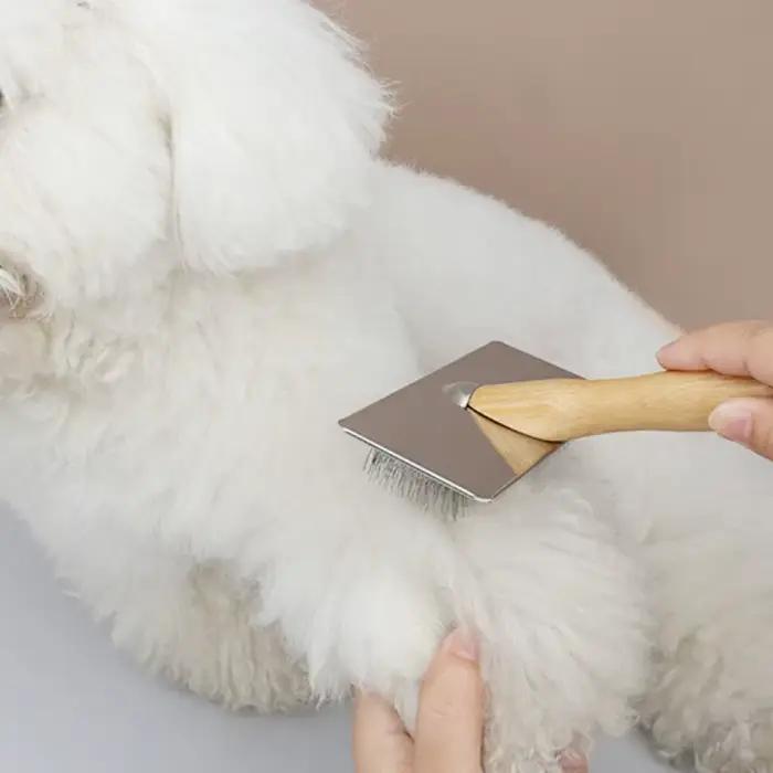 Peigne pour chien, brosse en bois massif pour chien, épilateur de poils d'animaux, brosse de Massage