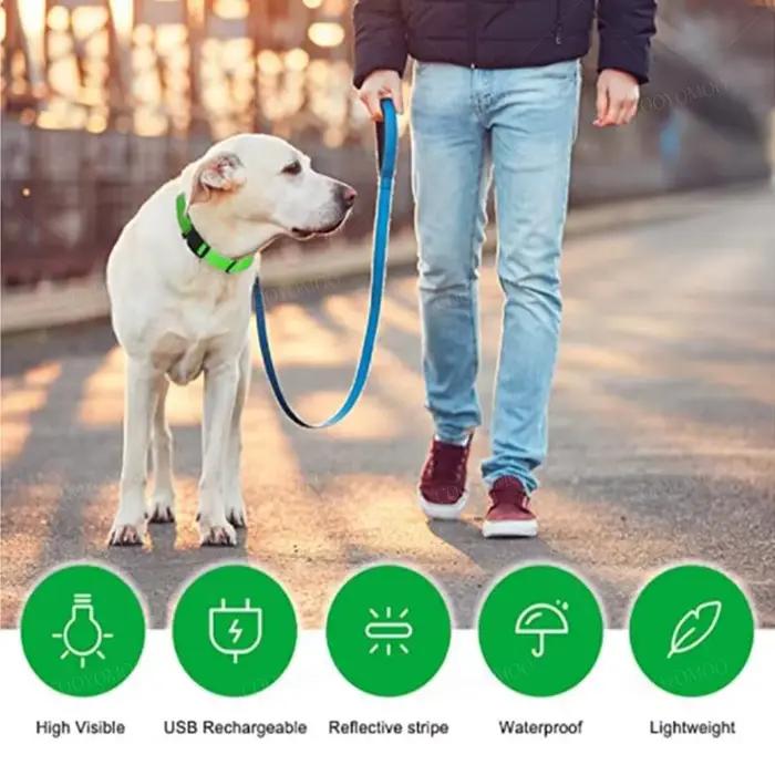 3 Modes chien collier de Charge lumineux Led Usb chat chiens colliers détachable nuit Led lueur chie