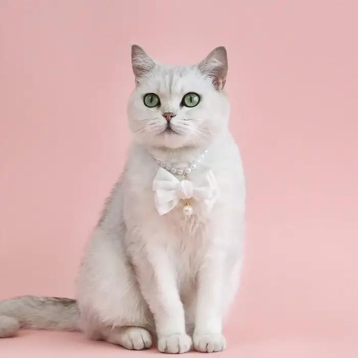 Collier de perles pour chien, bijoux pour petit chien, chiot, chat, collier de mariage, Chihuahua Yo