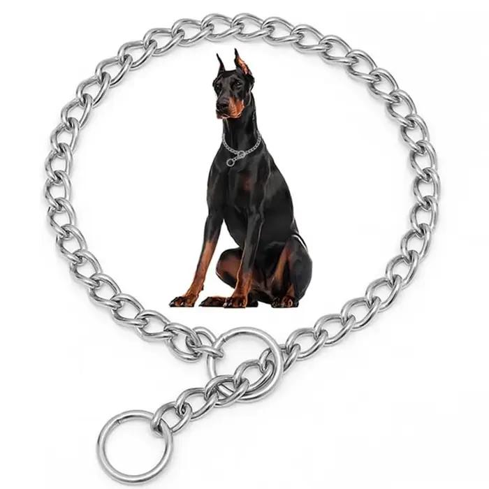 Collier de starter pour chien, chaîne P antidérapante, robuste, en métal, pour entraînement, chaînes