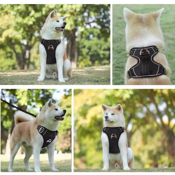 Benepaw – harnais pour chien sans traction, poignée de contrôle facile, harnais réfléchissant pour a