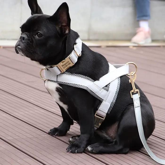Collier de chien en cuir personnalisé, ensemble de laisse SFP, glaçage en maille pour animaux de com