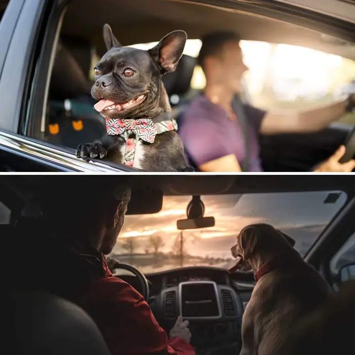 Housse de siège avant pour chien pour voitures, protection de siège de voiture pour animaux de compa