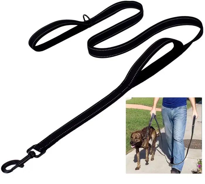 Laisse de chien en nylon à double poignée robuste à deux poignées rembourrées pour le contrôle de l'
