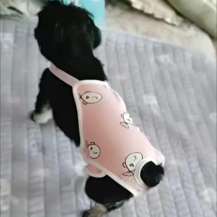 Culotte physiologique réutilisable pour animaux de compagnie, pour petits chiens, avec sangles, sous