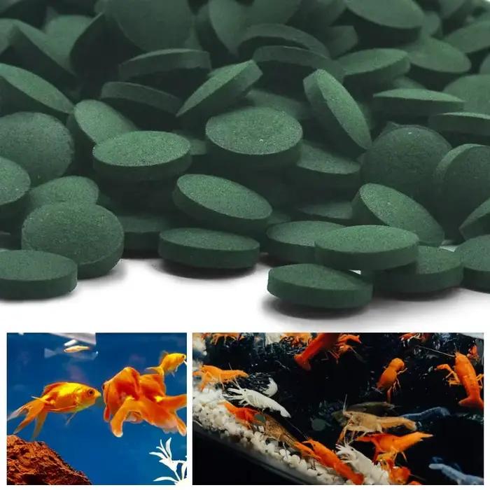 200 pièces comprimés de spiruline enrichissement nourriture pour animaux de compagnie préférée poiss