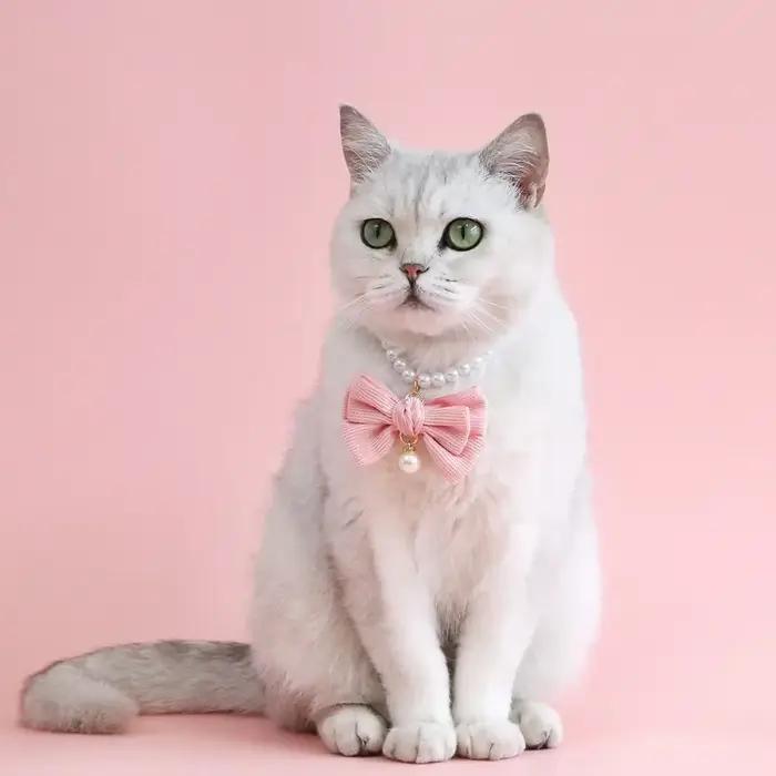 Collier de perles pour chien, bijoux pour petit chien, chiot, chat, collier de mariage, Chihuahua Yo
