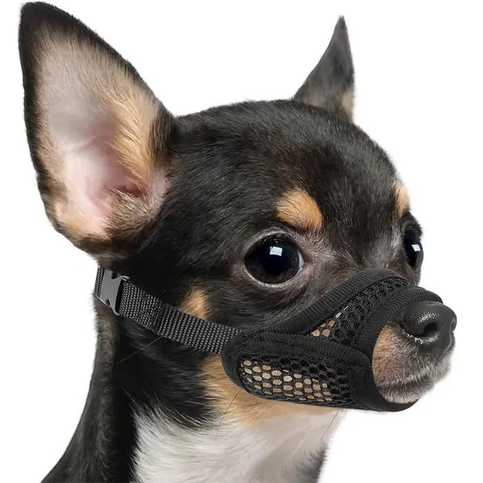 Muselière en maille pour museau court et petits chiens moyens, Anti-morsure, concentré sur les chien