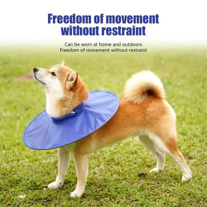 Collier de Récupération pour Chien après Chirurgie, Anti-Morsure, Lèche, Blessure, Réglable, Respira