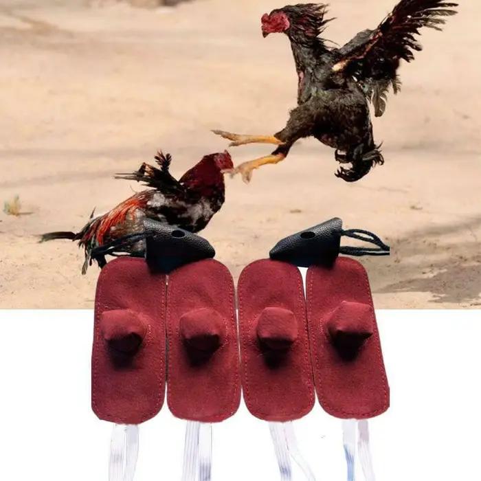Gant de coq jetable pour la protection des animaux de la ferme, casque de poule, accessoires de coq,