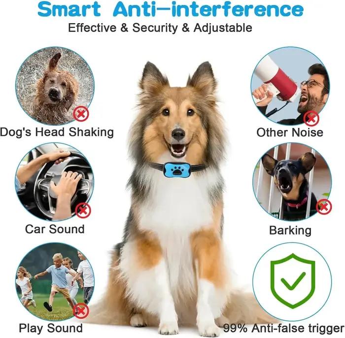 Dispositif Anti-aboiement pour chien de compagnie, collier d'entraînement pour chiens, Rechargeable