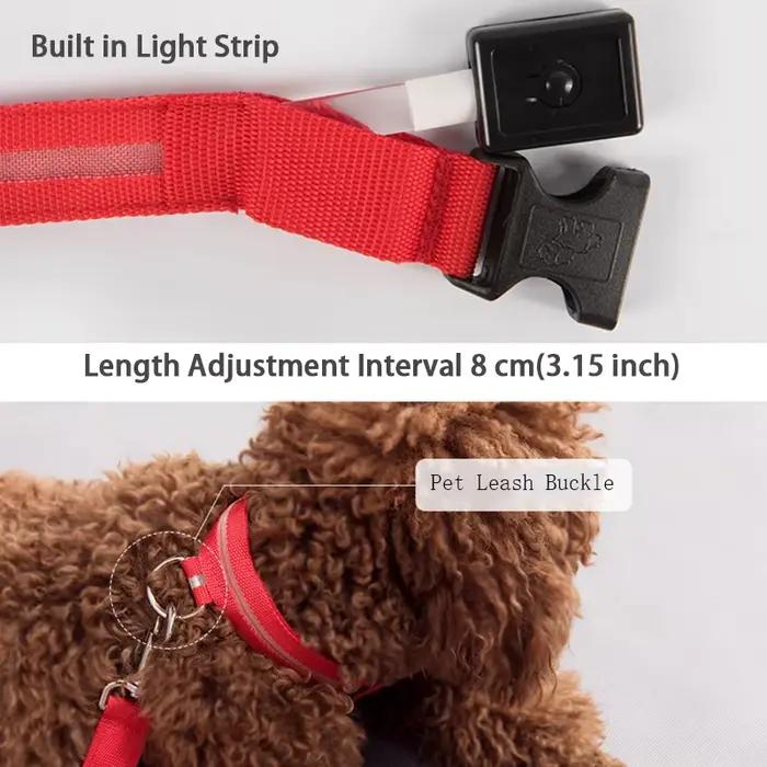 Collier pour chien lumière LED électronique sécurité nocturne Anti-perte Nylon réglable lumineux col
