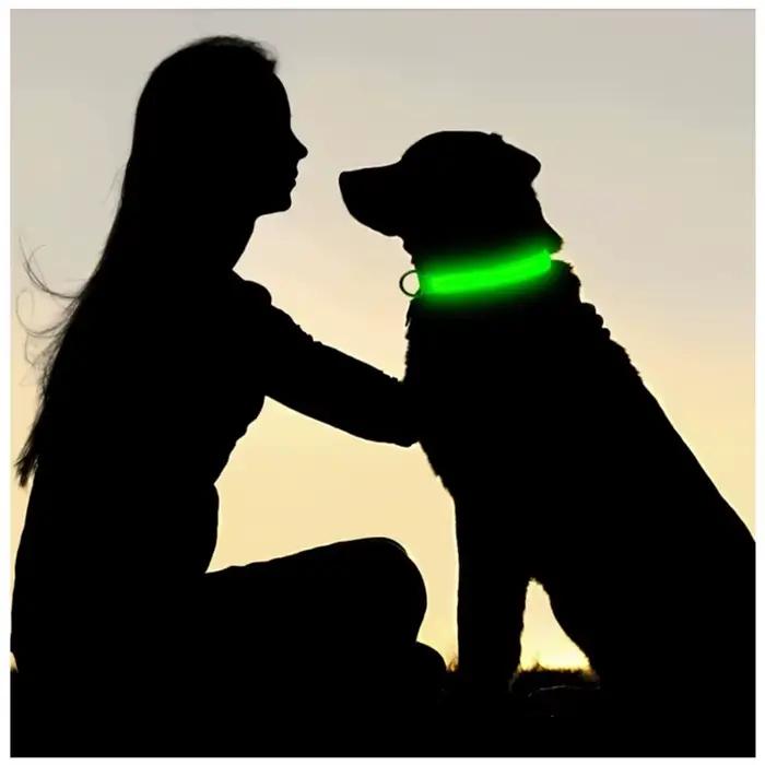 Colliers de Charge lumineux pour chiens, 3 Modes, Led Usb, pour chat, détachable, lueur nocturne, pr