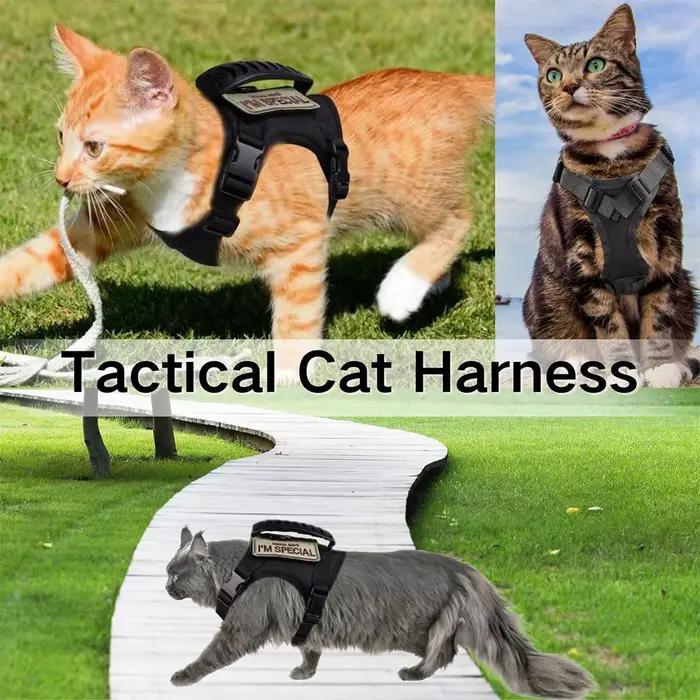 Harnais tactique pour chien et chat, laisse pour travailler, gilet réglable pour animaux de compagni