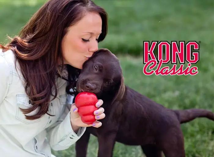 KONG – jouet à mâcher classique en caoutchouc naturel pour chien, avec votre choix de friandises pou