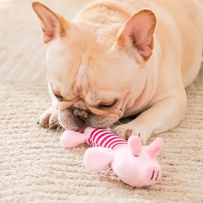 Paquet de 3/1 jouets grinçants pour chiens (éléphant/canard/cochon)-jouets à mâcher durables pour ma