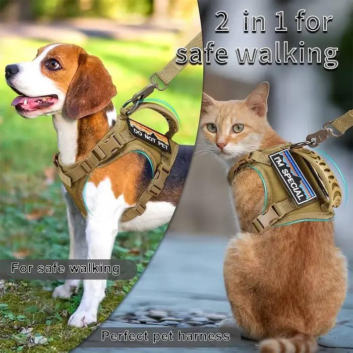 Harnais tactique pour chien et chat, laisse pour travailler, gilet réglable pour animaux de compagni