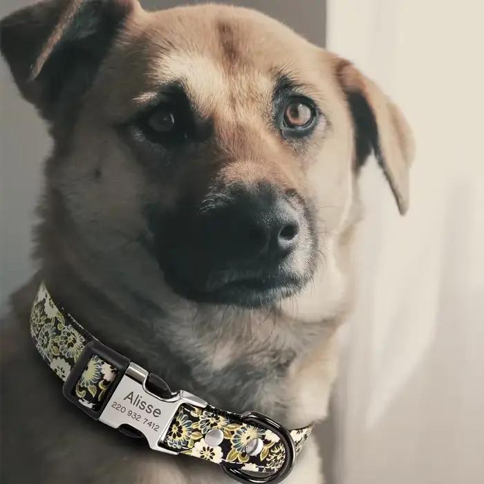 Collier de chien personnalisé avec nom gravé gratuit, colliers avec plaque signalétique personnalisé