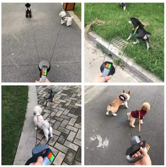 Double laisse rétractable extensible pour chiens, laisse automatique réfléchissante de 3M pour anima
