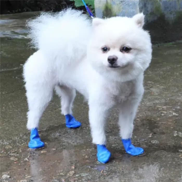Chaussures de pluie imperméables pour animaux de compagnie, botte en caoutchouc anti-ald pour chien,