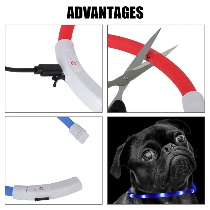 Collier de prévention de la perte de chien Led Usb, accessoires pour animaux de compagnie, sécurité