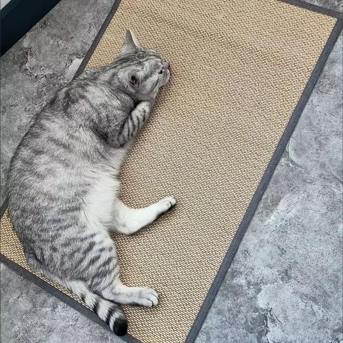 Tapis de canapé en bambou naturel pour chat, planche à gratter pour aiguiser les ongles, grattoir, j