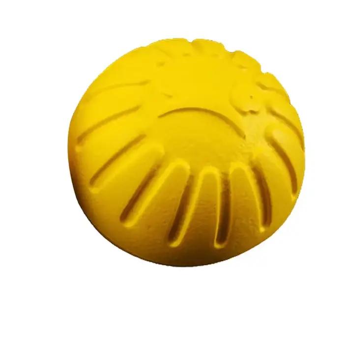 Boule d'Entraînement pour Chien, Jouet Interactif pour Animal de Compagnie, Anneau Côtelé, Degré de