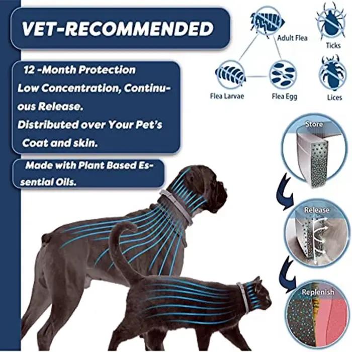 Collier extensible anti-puces pour animaux de compagnie, personnalisé, anti-puces et tiques, grand c