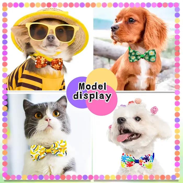 20 pièces été petit chien nœud papillon tournesol chien de compagnie noeud papillon collier été acce