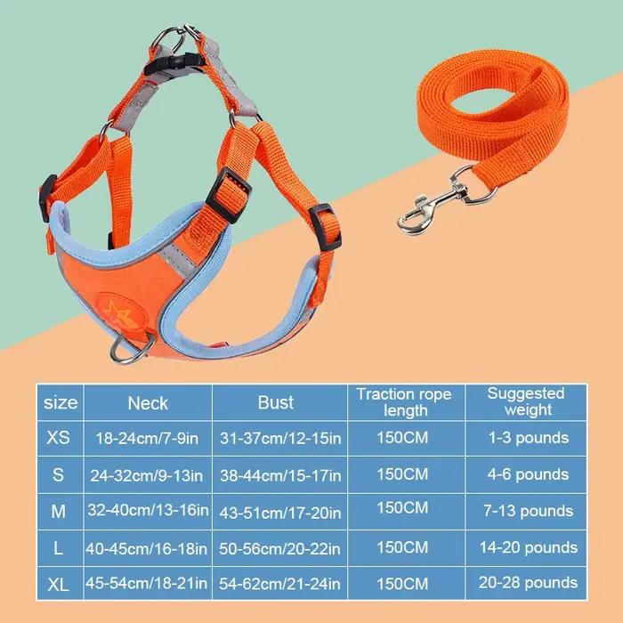 Collier réglable en plomb SFP pour animaux de compagnie, coulage respirant, laisse de marche pour ch