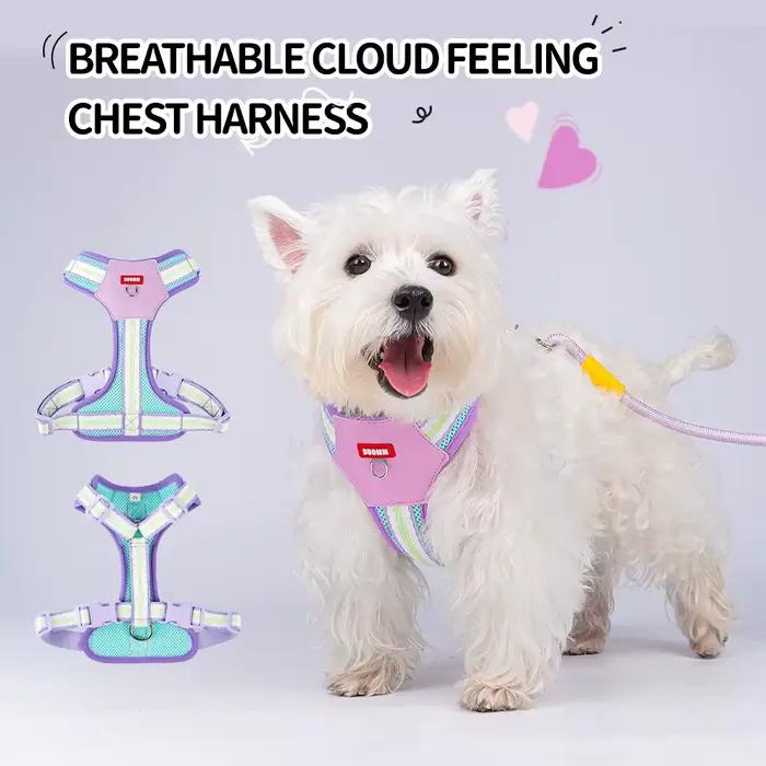 Harnais bloc de couleur pour petits chiens, marche, maille Corgi respirante, collier pour animaux de