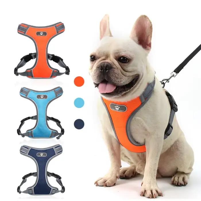 Harnais plomb chien bouledogue chiot animal de compagnie réfléchissant imperméable collier harnais m