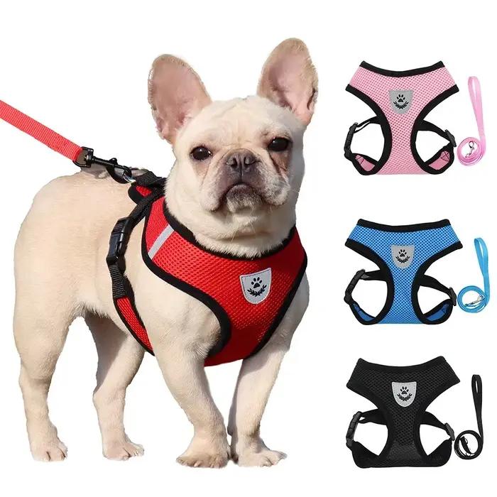 Harnais d'été pour chien et chat, laisse en plomb, gilet réglable, maille en Polyester, respirant, r