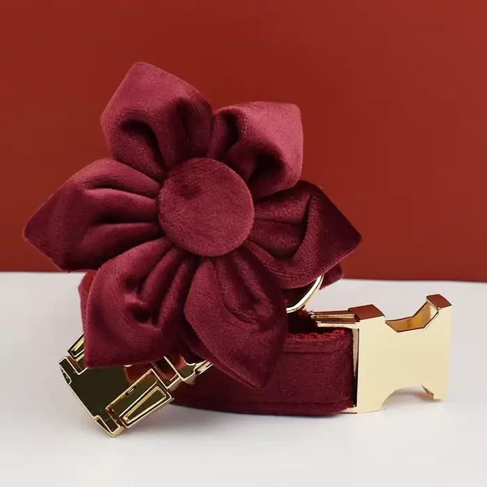 Ensemble collier et laisse pour chien en velours rouge, pour grands chiens, plaque nominative gravée