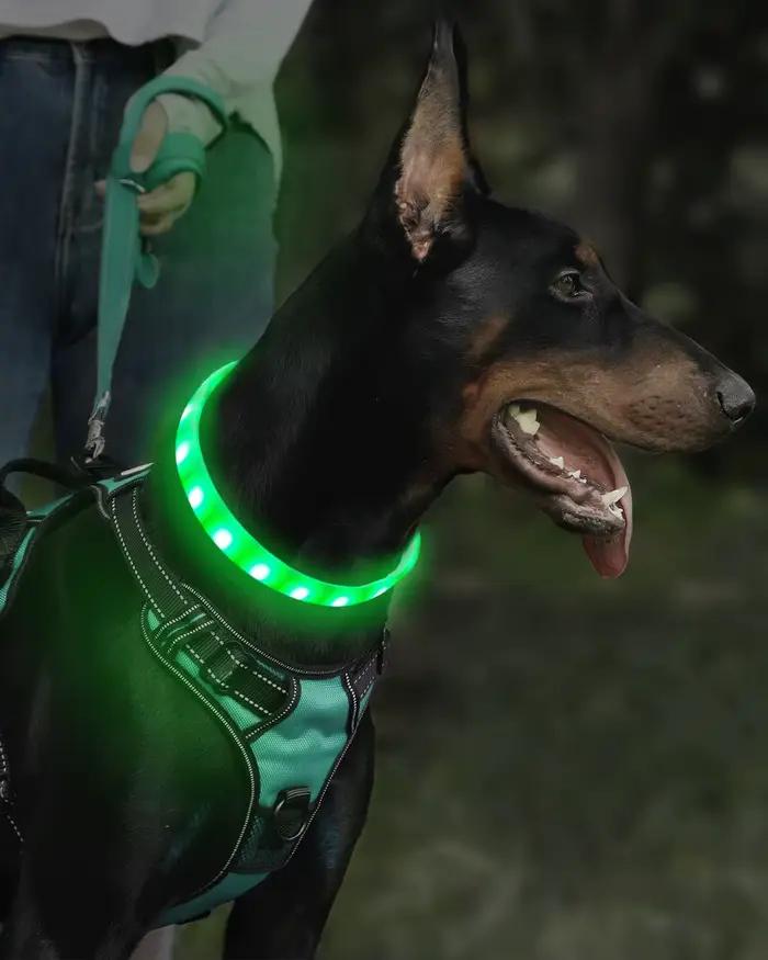 Collier léger rechargeable par USB pour chiens de grande, moyens et petits, collier pour chien lumin