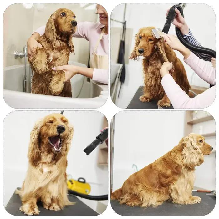 Sèche-cheveux pour animaux de compagnie, souffleur de toilettage pour grands chiens, bl84de force av