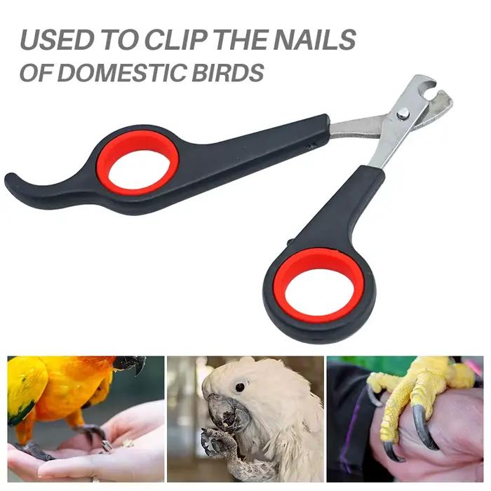 Animal de compagnie oiseau perroquet petits animaux accessoire outil de toilettage ciseaux à ongles