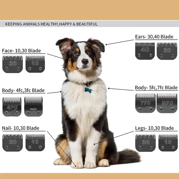 Tondeuse de toilettage noire détachable pour chien, ensemble de lames en acier inoxydable, Compatibl