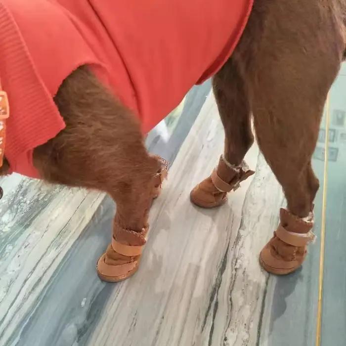 Chaussures pour animaux de compagnie, 4 pièces, épaisses et chaudes, bottes en Carton de neige et de
