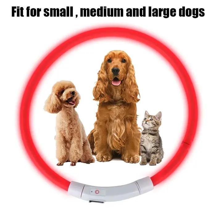 Collier de prévention de la perte de chien Led Usb, accessoires pour animaux de compagnie, sécurité