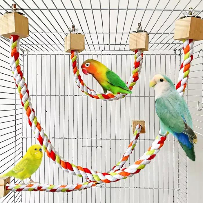 Jouets de morsure d'oiseau pour animaux de compagnie, corde en coton couleur perroquet, jouets d'esc