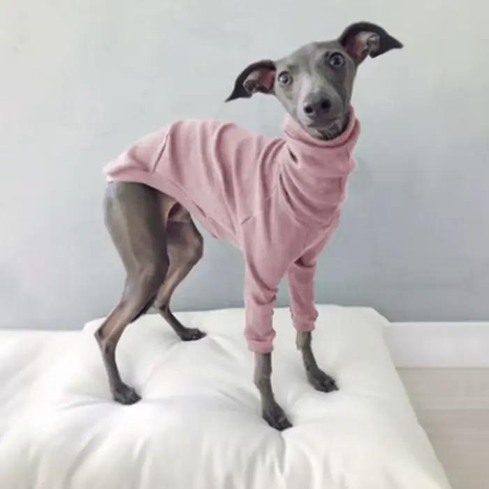 Fil à col roulé en coton pour animaux de compagnie, vêtements pour chiens, veste à deux pattes pour