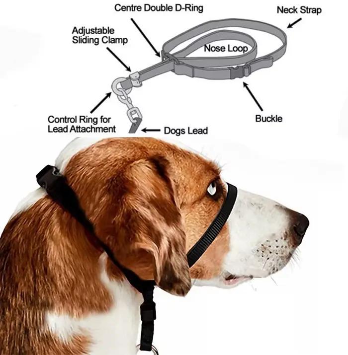Collier de tête rembourré en Nylon réglable pour chien, laisse douce, Leader, arrêter de traction, o