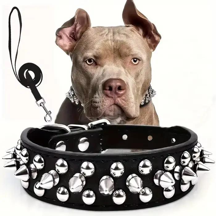 Ensemble collier et laisse pour chien à pointes, collier pour chien en cuir à rivets, collier réglab